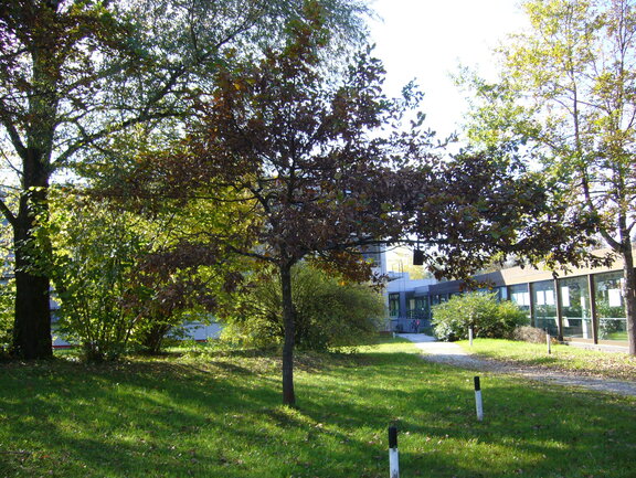 image-219